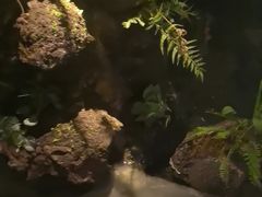 -泰之源足浴会所(玉环店)