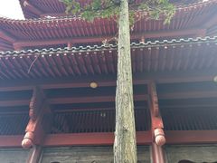 -酒仙湖景区