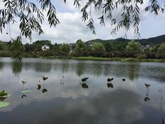 -石塘人家