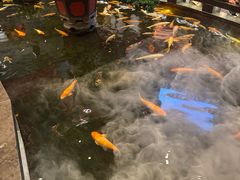 -唐山宴百姓府邸院落中餐