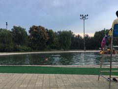 -柳浪游泳场