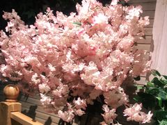 -鹤祥宫·影院足道·SPA连锁(苹果园店)