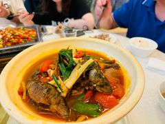 -椿记烧鹅(叠彩店)