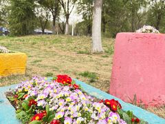 -武汉园博园(武汉自然博物馆)