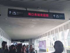 -海口东站