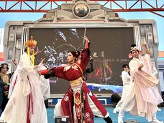 -海合安武汉极地海洋公园