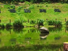 -梅岭月亮湾山体公园