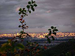 -香山公园