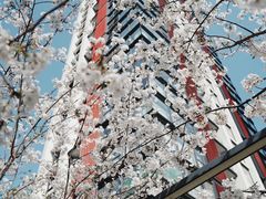 -中興路一號Oriental One