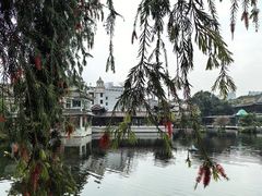 -荔湾湖公园
