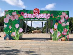 -长春公园(普阳街道)