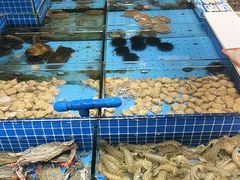 -渔港甄宴·海鲜·地标烟台菜(金沙滩店)