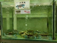 -浩海美食店(闸坡店)