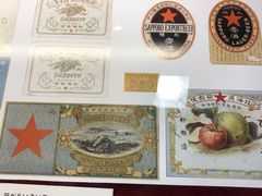 -北海道厅旧本厅舍(旧本庁舎)