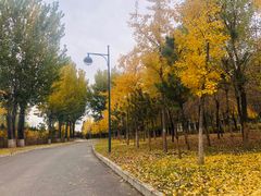 -中家鑫园温泉酒店鑫悦汤泉