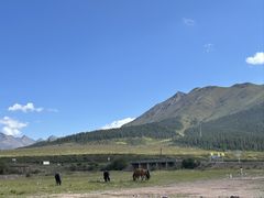 -山丹皇家马场