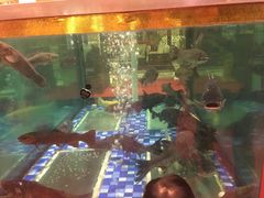 -顺峰(南二环店)