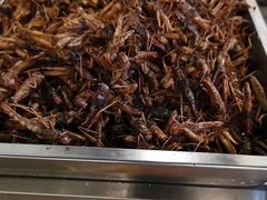 -铁锅炖灶台鱼老三炖鱼馆