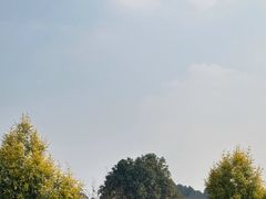 -空港花田景区