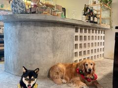 -自由生长植物工作室(深港花卉中心店)