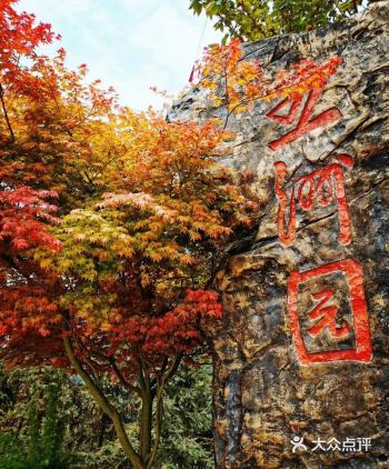 重庆五洲园四季都具有特色，春天赏花、夏天纳凉、秋天采