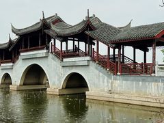 -上海海湾国家森林公园