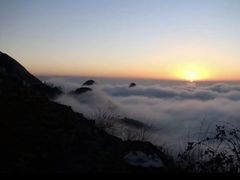-武陵山森林公园