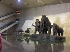 -大庆市博物馆