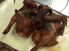 -粤顺食鸽专门店