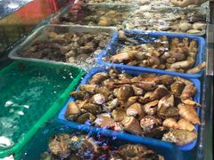 -清水湾3号(东方小周海鲜店)