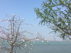 -东湖落雁景区