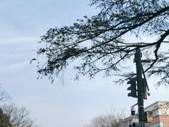-浙江大学(玉泉校区)