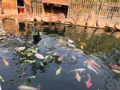 -湖鲜楼