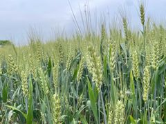 -好宜家眼视光·蔡司店(临汾店)