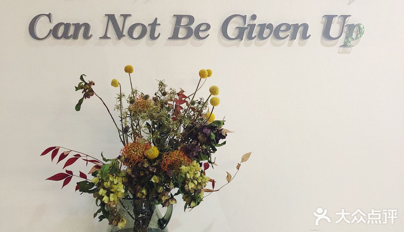 真的不知道是怎么火成这样的