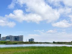 -春花秋色城市公园