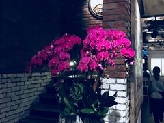 -Goose Island Brewhouse鹅岛精酿啤酒酿造工坊餐厅