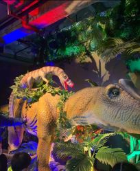 -恐龙探索乐园(磁器口店)