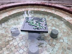 -天目湖涵田半山温泉