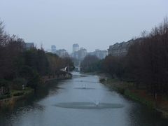 -新江湾城公园