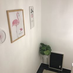 点击看大图 -素妍国际皮肤管理中心