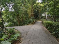 -水濂山森林公园