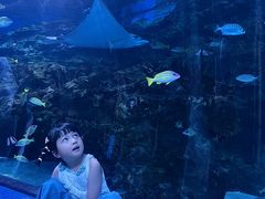 -海合安成都极地海洋公园