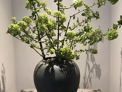 -子福慧(虹桥店)
