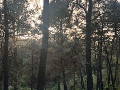-南京市无想山景区