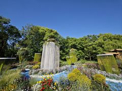 -上海共青森林公园