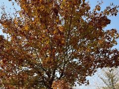 -野鸭湖国家湿地公园