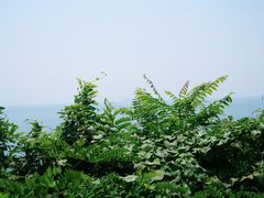 -燕儿岛山公园