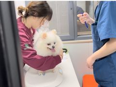 -伟伟宠物医院·CT影像中心·瑞派犬猫综合性门诊(汉口总院)
