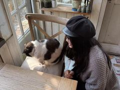 -海边的猫和咖啡馆